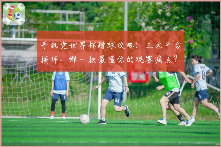 手机党世界杯蹲球攻略：三大平台横评，哪一款最懂你的观赛痛点？