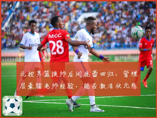 北控男篮换帅后闵鹿蕾回归,管理层豪赌老帅经验,能否激活状元陈国豪?